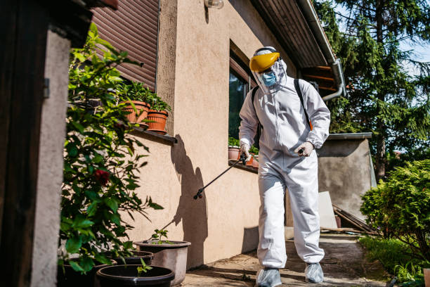 Best Mosquito Control Services  in Lake Shore, MD