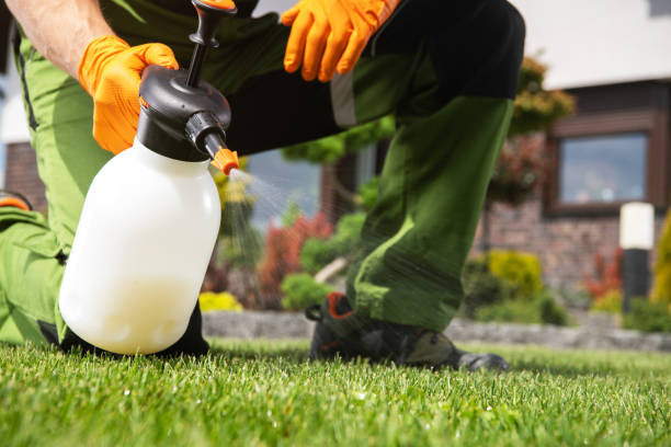 Best Wasp Removal Services  in Lake Shore, MD