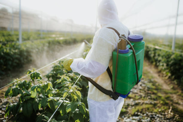 Best Pest Removal Services  in Lake Shore, MD